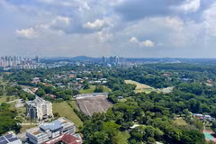 Un coin de verdure à Singapour. Photo : VNA