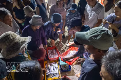 Da Nang : le marché de Tam Tien, au rythme des marées et des nuits de pêche
