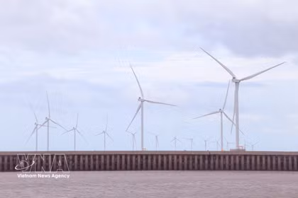 Ca Mau mise sur le développement des énergies renouvelables grâce à son atout que constitue un littoral de plus de 310 km. Photo : VNA