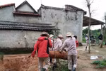 L'équipe de déminage MAG a découvert et éliminé avec succès une bombe non explosée pesant près de 230 kg dans un jardin d'une famille du village de Nguyen Son, commune de Cu Nam, province de Quang Binh. Photo diffusée par la VNA le 3 avril 2024