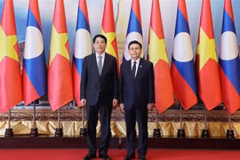 Le président Luong Cuong (à gauche) et le président de l'AN lao Saysomphone Phomvihane. Photo : VNA