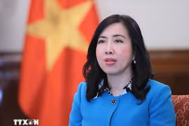 La vice-ministre vietnamienne des Affaires étrangères, Le Thi Thu Hang. Photo : VNA