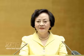 La vice-Première ministre Pham Thi Thanh Tra. Photo: VNA