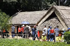 De nombreuses personnes se rendent au village de Sen à l’occasion du 135e anniversaire de la naissance de l'Oncle Hô. Photo : sggp.org.vn