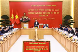Panorama de la séance de travail. Photo : VNA