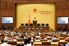 Le 29 octobre 2026 après-midi, l’Assemblée nationale a examiné en séance plénière le projet de loi sur le développement des petites et moyennes entreprises. Photo : VNA