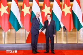 Dans l'après-midi du 28 mai 2025, à Hanoï, le président de l'Assemblée nationale du Vietnam, Tran Thanh Man (à droite) rencontre le président hongrois Sulyok Tamas en visite officielle au Vietnam. Photo : VNA