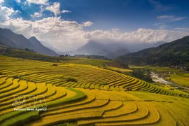 La beauté envoûtante de Sa Pa pendant la saison des récoltes de riz. Photo : VNA