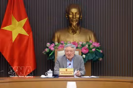 Le vice-Premier ministre permanent Nguyen Hoa Binh lors de la réunion. Photo : VNA