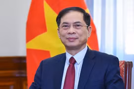 Le comité sera présidé par le vice-Premier ministre et ministre des Affaires étrangères, Bui Thanh Son. Photo : VGP
