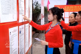 Une électrice de l’ethnie Muong, votant pour la première fois, examine attentivement la biographie des candidats. Photo: VNA