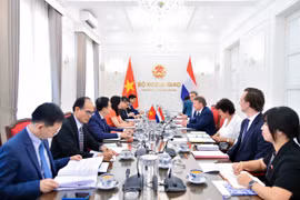 Panorama de la consultation politique. Photo: ministère des Affaires étrangères