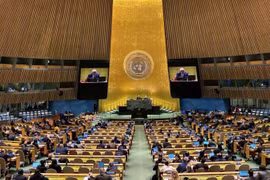 Panorama d'une session visant à adopter la résolution de l'Assemblée générale des Nations Unies. Photo: VNA
