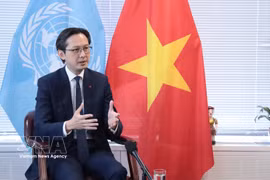 L'ambassadeur Do Hung Viet, chef de la Mission permanente du Vietnam auprès de l’Organisation des Nations unies, répond à la presse sur la Conférence d'examen du TANP. Photo: VNA