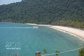 Cu Lao Cham accueille les visiteurs avec ses eaux turquoise cristallines, ses plages de sable blanc immaculées comme la plage Ong et la plage Chong et ses forêts primaires luxuriantes. Photo : VNA