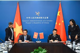 Le Vietnam et la Chine ont signé un protocole relatif à l’exportation de jacquiers frais vietnamiens vers le marché chinois. Photo : ministère vietnamien de l’Agriculture et de l’Environnement