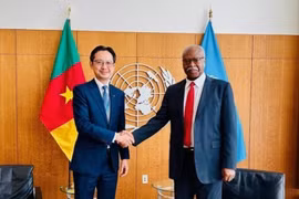 L'ambassadeur Do Hung Viet (à gauche), chef de la Mission permanente du Vietnam auprès des Nations Unies, et Philemon Yang, président de la 79e session de l'Assemblée générale des Nations Unies. Photo : VNA