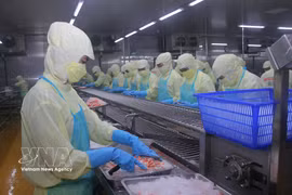 Une chaîne de transformation de produits aquatiques destinés à l'exportation dans une usine de Ca Mau. Photo : VNA