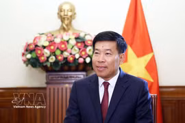 Le vice-ministre des Affaires étrangères Nguyen Manh Cuong. Photo : VNA