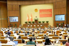 Panorama de la conférence. Photo : VNA