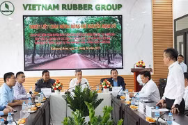 Séance de travail entre l'ambassadeur du Vietnam au Cambodge Nguyên Minh Vu et les représentants de trois entreprises de caoutchouc : Ba Ria Kampong Thom, Phuoc Hoa Kampong Thom et Tan Bien Kampong Thom. Photo : VNA 