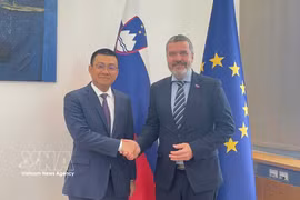 L'ambassadeur du Vietnam en Autriche, également accrédité en Slovénie, Vu Le Thai Hoang (à gauche), et le ministre slovène des Affaires étrangères et européennes, Tone Kajzer. Photo : VNA