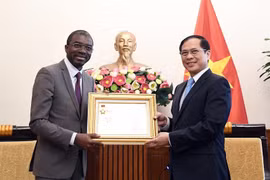 Le vice-PM et ministre des Affaires étrangères Bui Thanh Son (droite) remet à Lazare Eloundou Assomo l'Insigne "Pour la cause de la diplomatie vietnamienne". Photo: VNA