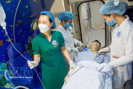 L’une des réalisations majeures de l’Institut de médecine maritime est le système de téléassistance médicale en mer (télémédecine). Photo : VNA
