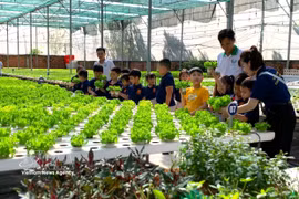 Visite d’un modèle de culture maraîchère de haute technologie à la coopérative agricole Tuan Ngoc, à Hô Chi Minh-Ville. Photo : VNA