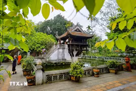 Les Vietnamiens considèrent chùa Môt Côt (pagode au pilier unique) comme un des symboles de la capitale millénaire. Ce petit édifice religieux bouddhique carré en bois, posé sur une colonne au milieu d’un étang carré couvert de lotus, trône gracieusement dans l’arrondissement de Ba Dinh à Hanoï. (Photo : Thanh Tung/VNA)