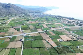 Le projet de centrale nucléaire de Ninh Thuân 2 devrait être construit dans le hameau de Thai An, commune de Vinh Hai, district de Ninh Hai. Photo : VNA