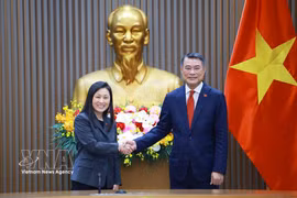 Le Premier ministre Le Minh Hung reçoit l'ambassadrice des États-Unis Jennifer Wicks. Photo : VNA