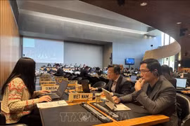 La délégation du Vietnam lors de la réunion. Photo : VNA