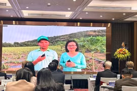 La société par actions alimentaire Canh Dong Viet (Vietfarm) partage ses réalisations grâce au soutien du projet. Photo : PV/Vietnam+