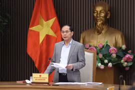 Lz vice-Premier ministre Bui Thanh Son, ministre des Affaires étrangères lors de la réunion. Photo : VNA