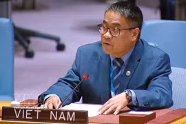 Le ministre conseiller Nguyen Hai Luu, représentant permanent adjoint du Vietnam auprès de l'ONU. Photo : VNA