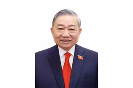 Le secrétaire général du Parti et président de Républiquet To Lam. Photo : VNA