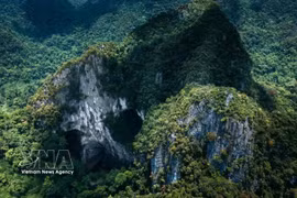 Phong Nha – Ke Bang, un trésor de biodiversité dans la chaîne de montagnes de Truong Son. Photo : VNA