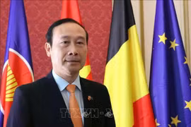 L'ambassadeur du Vietnam en Belgique, Nguyên Van Thao, chef de la délégation du Vietnam auprès de l'Union européenne (UE). Photo : VNA