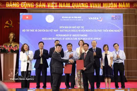 Signature d'un protocole d'accord de coopération entre le Département des technologies numériques et de l'intelligence artificielle et l'Institut de recherche sur le développement agricole. Photo : VNA