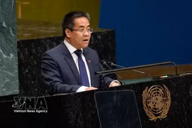 Nguyen Hai Luu, ministre-conseiller et chef adjoint de la Mission permanente du Vietnam auprès de l’ONU, s'exprime. Photo: VNA