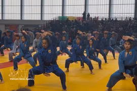 La 7ᵉ édition du Championnat du monde de Vovinam - Viet Vo Dao, organisée du 22 au 25 juillet à Paris. Photo : VNA