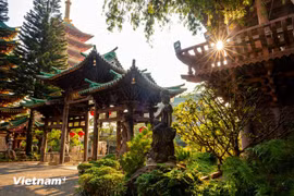 Jardins luxuriants, étangs paisibles et murs couverts de mousse composent un décor empreint de calme, invitant à la contemplation. Photo : Vietnam+