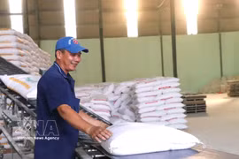 Activités de production à la société par actions Tan Dong Tien (quartier de Khanh Hau, province de Tay Ninh). Photo: VNA