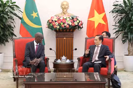 Le Hoai Trung, membre du Bureau politique et ministre des Affaires étrangères (droite) et le ministre chargé du secrétaire général du gouvernement mauritanien, Moctar Al Housseynou Lam. Photo: VNA