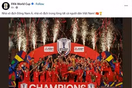 Photo : FIFA World Cup 