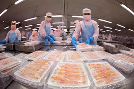 Transformation de crevettes pour l'exportation. Photo : VNA