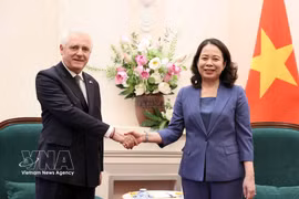 La vice-présidente de la République, Vo Thi Anh Xuan, reçoit l'ambassadeur d'Argentine au Vietnam, Marcos Antonio Bednarski, Photo : VNA