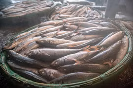 Sortie du four : un lot de poisson encore fumant. Photo : VNA