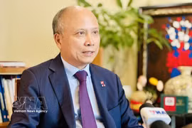 L’ancien ambassadeur du Vietnam en France, Dinh Toan Thang. Photo: VNA